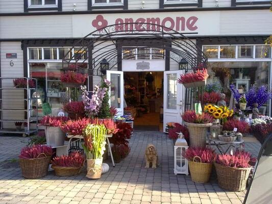 Høstbilde av inngang